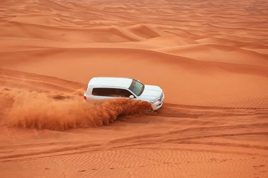 Doha: Desert Safari, Sandboarding, Dune Bashing & Inland Sea - Guides, comfort, and family considerations