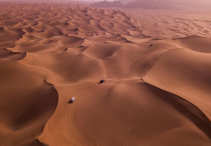 Doha: Desert Safari, Sandboarding, Dune Bashing & Inland Sea - Cancellation and booking details worth knowing