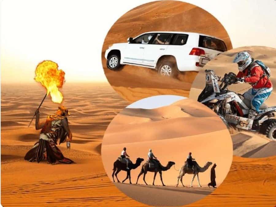 Doha:Desert Safari with Camel Ride, ATV Bike,& Sand Boarding - Key points to know before you book