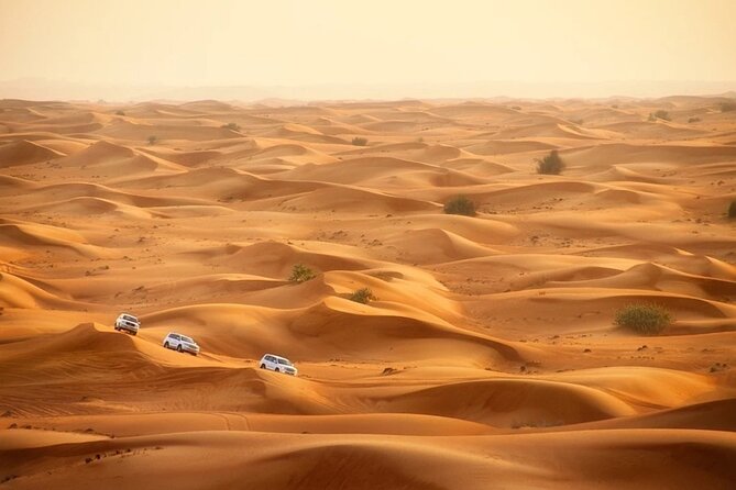 Doha: Desert Safari With Quad bike ,Camel Ride And Sand Boarding - Guides can shape the whole morning