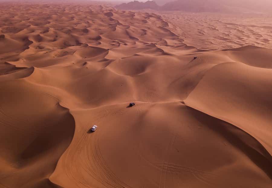 Doha: Desert Safari with Quad Bike, Sandboard & Camel Ride - Is this Qatar desert safari worth booking?