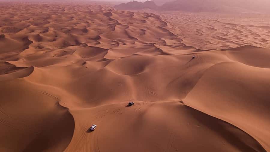 Doha: Dune Bashing Safari, Falcon, Camel, ATV, Sandboarding - Why this four-hour safari works so well in Doha