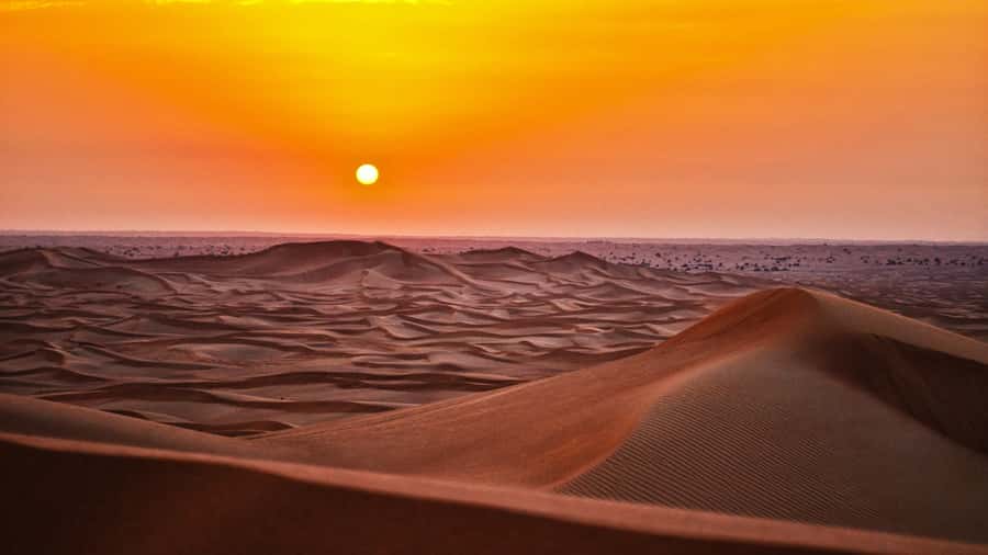 Doha: Dune Bashing Safari, Falcon, Camel, ATV, Sandboarding - Sealine: camels, falcons, and the tire change