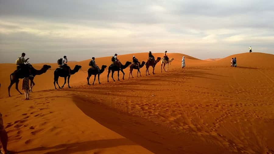Doha: Dune Bashing Safari, Falcon, Camel, ATV, Sandboarding - The real cost of adding an ATV ride