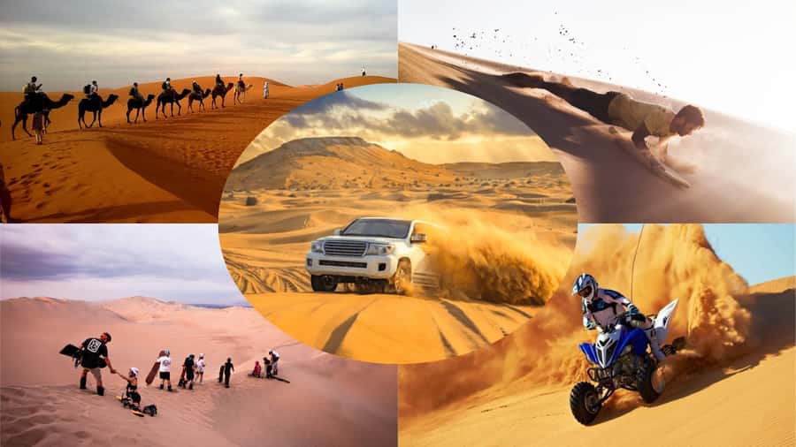 Doha: Dune Bashing Safari, Falcon, Camel, ATV, Sandboarding - From Doha to Sealine in an air-conditioned Land Cruiser