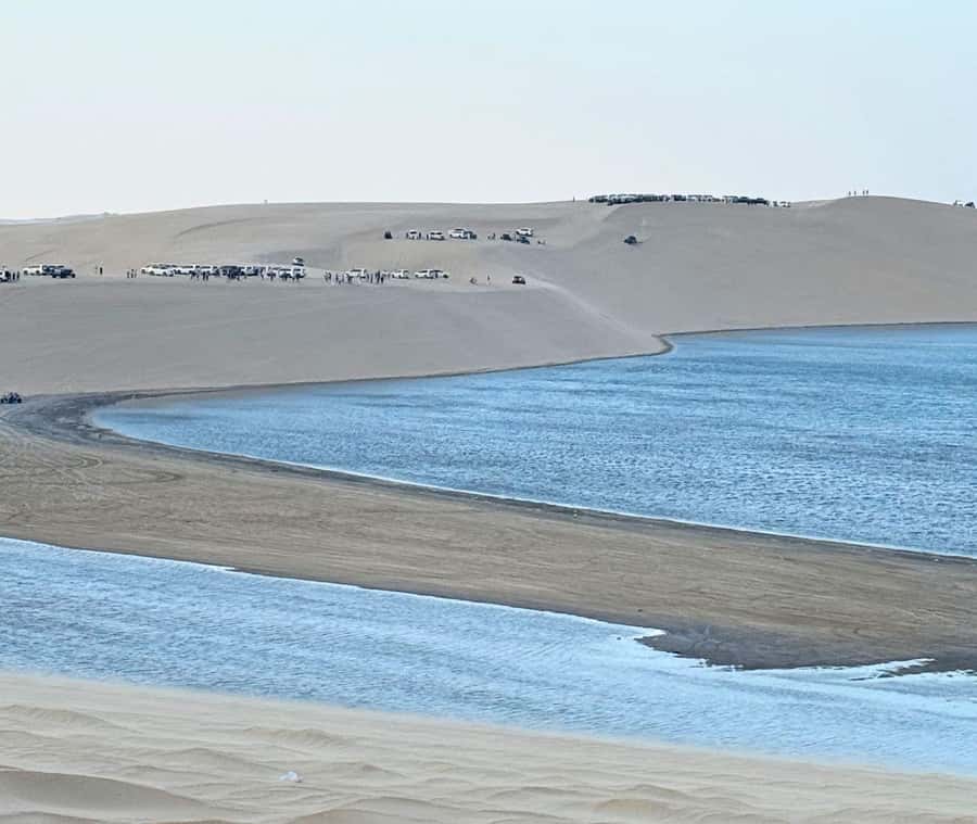 Doha: Guided Desert Safari Tour with Pickup & Drop Service - Sealine Beach Resort: the first desert stop