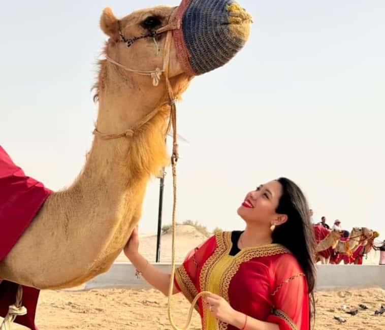 Doha: Half Day Desert Safari, Camel Ride , Sandboarding - The short camel ride and what it adds