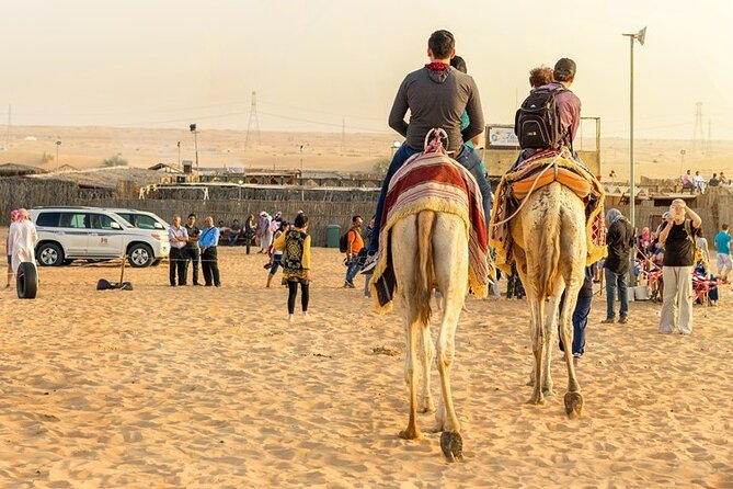 Doha Half Day Desert Safari Dune Bashing CamelRide & Sandboarding - Comfort, fitness, and what to bring