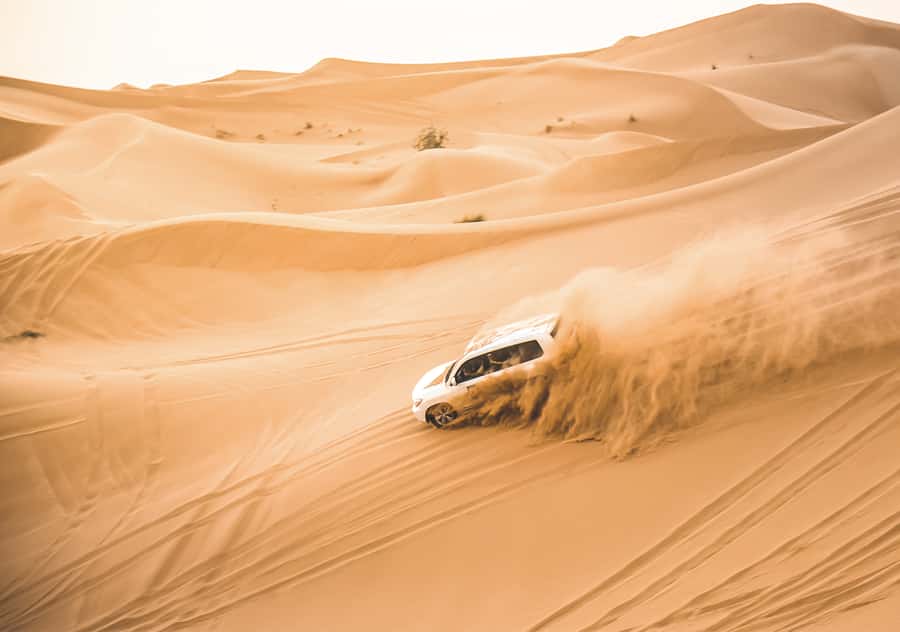 Doha: Half-Day Desert Safari, Quad Bike, Camels & Inland Sea - Why this four-hour desert trip works well