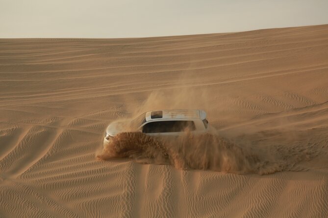 Doha: Half Day Desert Safari with Camel Ride and Inland Sea Tour - What to bring and how to plan the timing