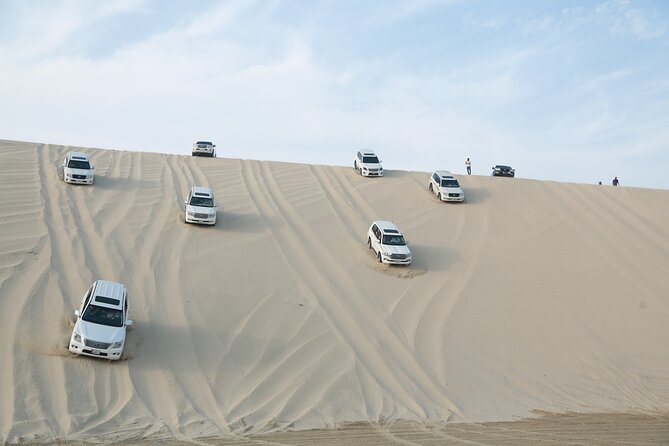 Doha: Half Day Desert Safari with Camel Ride and Inland Sea Tour - Dune bashing across Sealine’s high sand