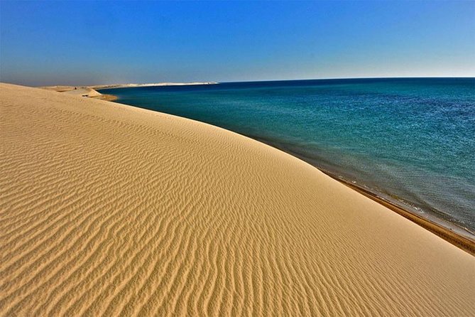 Doha : Half Day Desert Safari With SandBoarding and Camel Ride - Camel photographs and a short ride