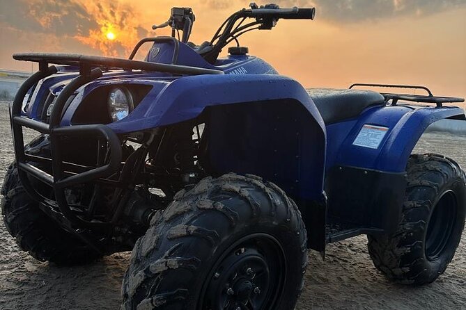 Doha-Half Day Safari with Quad Bike ATV/Camel Ride/sandboard - Camel riding at a gentler pace