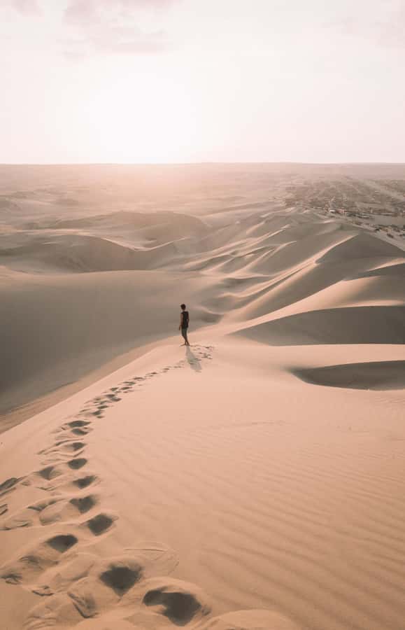 Doha : Inland Sea Desert Safari ,Camel Ride & Sandboarding - What the $15 price really means