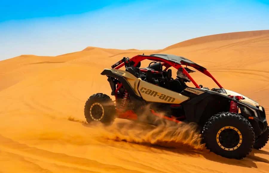 Doha: Inland Sea Desert Safari with Sunset & Sunrise Views - Who will enjoy this desert safari most