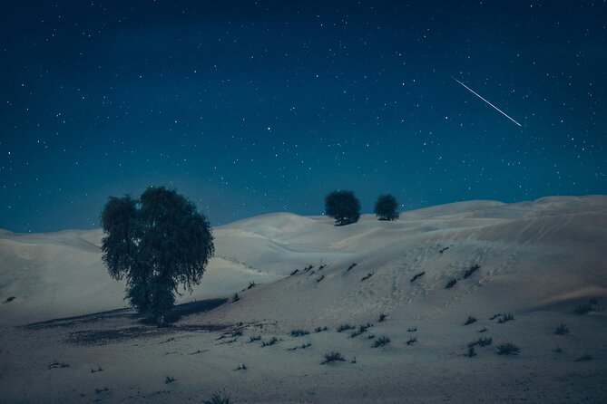 Doha Night Desert Safari Adventure - Why Sealine is the right starting point