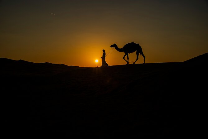 Doha Night Desert Safari Adventure - What the $74.49 price includes in practical terms