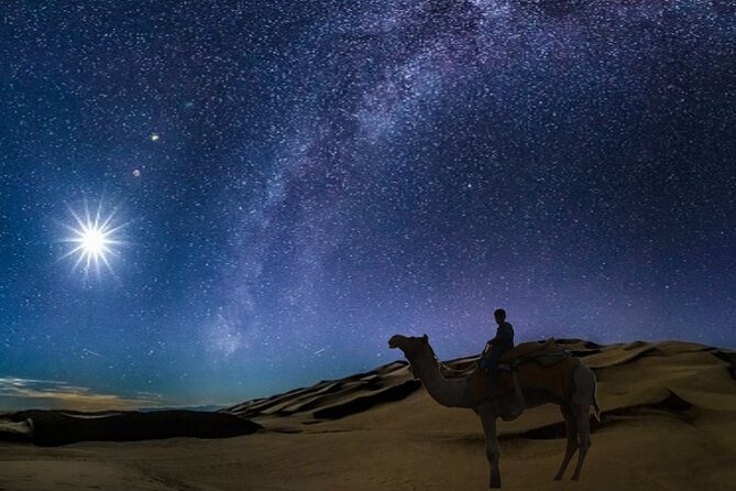 Doha Night Desert Safari Camel Ride Dune Bashing with Transfer - A four-hour taste of Qatar beyond Doha