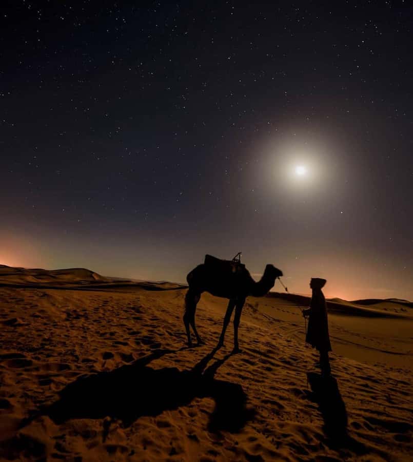 Doha Night Desert Safari Stargazing And Camel Ride - Dune bashing and sandboarding at Ash Shaqra