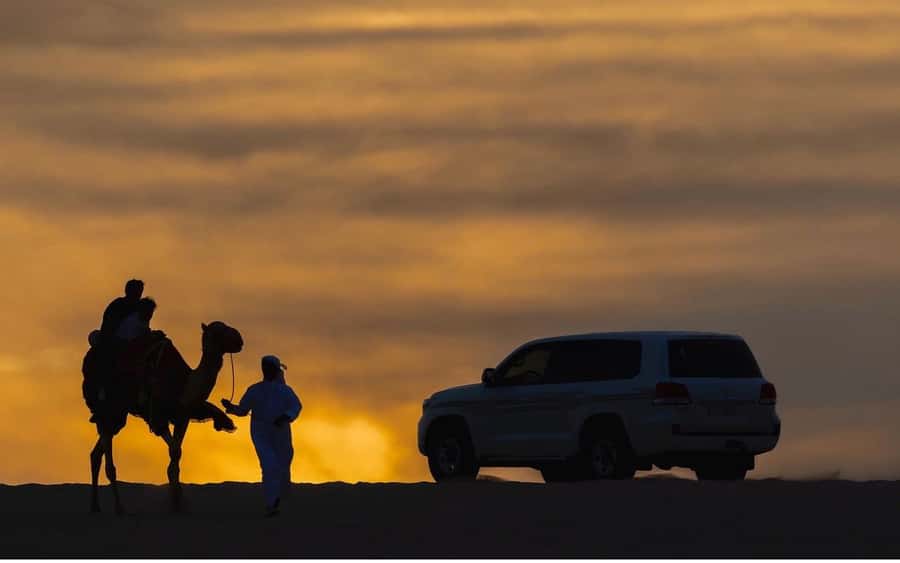 Doha Night Desert Safari Stargazing And Camel Ride - Who will enjoy this outing most