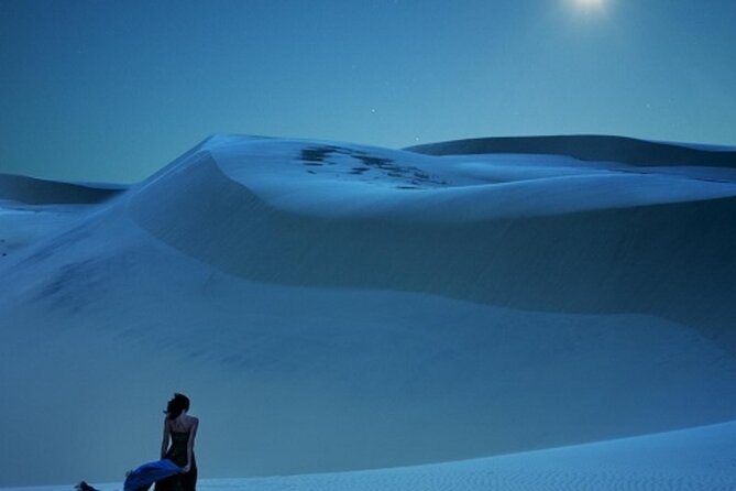 Doha Night Desert Safari Stargazing Dune Drive Camel Ride - Pickup, timing, and cancellation terms