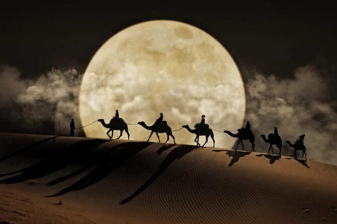 Doha Night Desert Safari Stargazing Dune Drive Camel Ride - Sealine Beach, where the dunes reach the coast