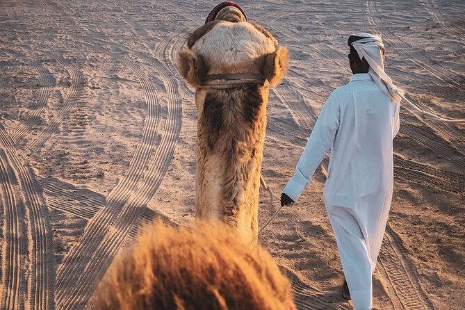 Doha-Night Desert Safari with Sand Board and Camel Ride - Key points to know before you book