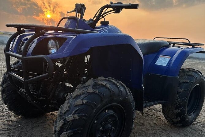 Doha-Night Desert Safari with Sand Board and Camel Ride - From Doha streets to the dunes at Sealine Beach