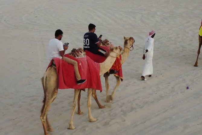 Doha-Night Desert Safari with Sand Board and Camel Ride - Sealine Beach gives the tour its best setting
