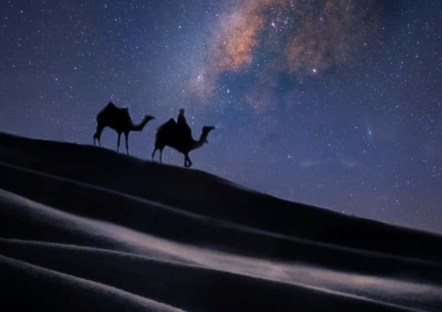 Doha: Night Desert Safari with Stargazing & Camel Ride - FAQ