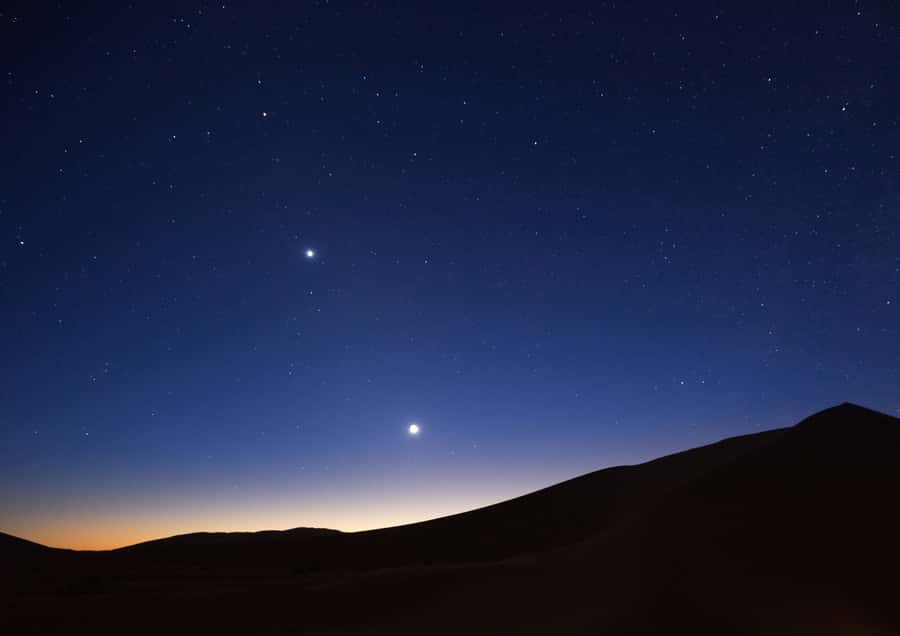 Doha: Night Desert Safari with Stargazing & Camel Ride - Should you book this Doha night safari?