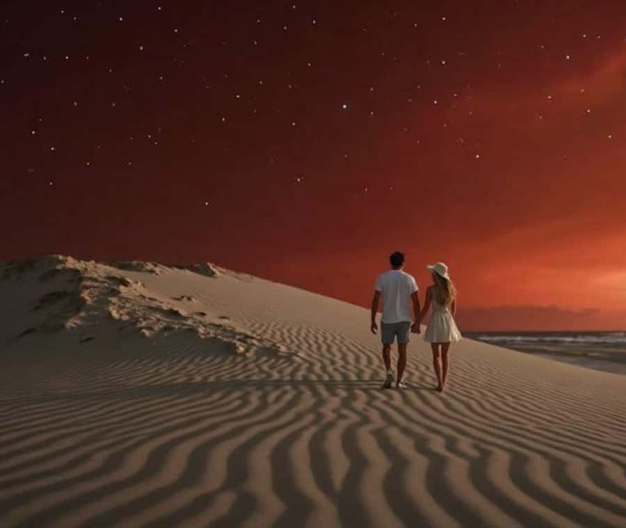 Doha: Night Inland Sea Desert Safari with Full Activities - Night dune bashing with an experienced driver