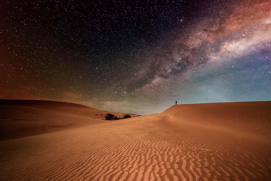 Doha: Nighttime Desert Safari with Dune Bashing & Camel Ride - Key points to know before you book