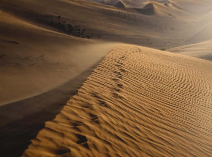 Doha: Nighttime Desert Safari with Dune Bashing & Camel Ride - Stargazing and the quiet after sunset