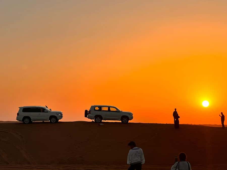 Doha: Nighttime Desert Safari with Dune Bashing & Camel Ride - What your guide adds to the outing