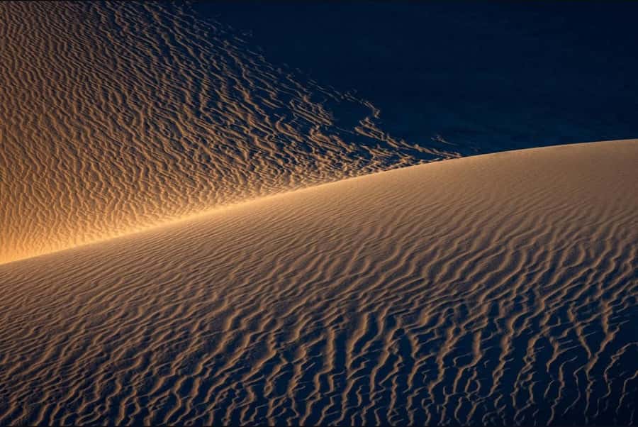 Doha: Nighttime Desert Safari with Dune Bashing & Camel Ride - Who should book this desert safari