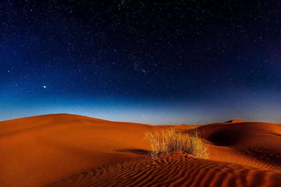 Doha: Private Desert Safari at Night with Stargazing - Why a night in Qatar’s desert works so well