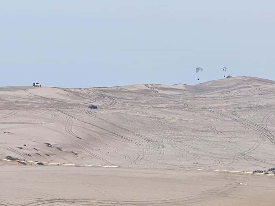 Doha:Private Desert Safari, Falcon, Sandboarding,inland sea - Sandboarding, with one equipment detail to confirm