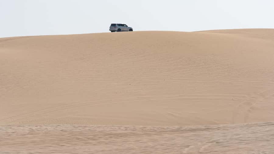 Doha Private Desert Safari, inland sea, sand boarding - Sealine Beach: your first desert stop