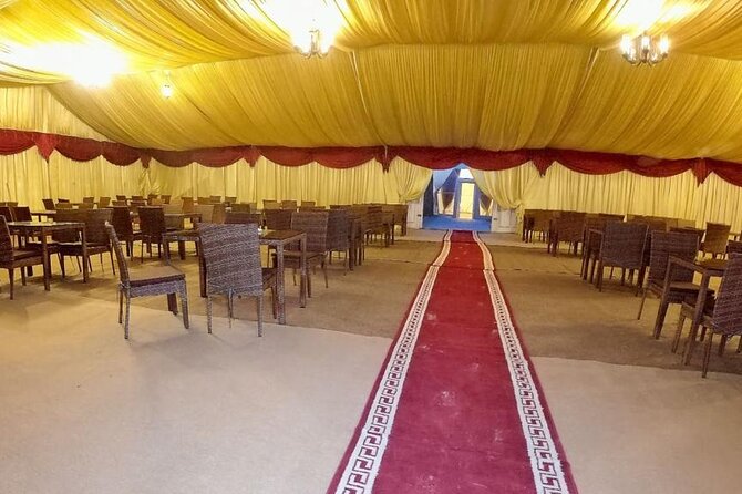Doha Private Overnight Desert Safari - Seal Beach: tea, camels, and the change to sand driving