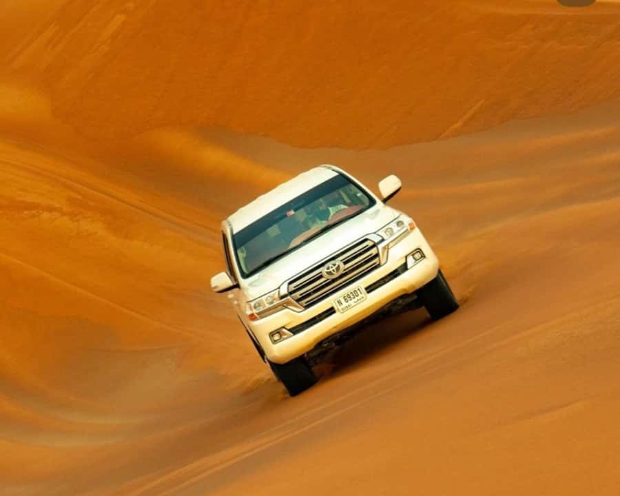 Doha: Relax Desert Safari, Camel Ride, Inland Sea, Swimming - Practical booking advice before you go