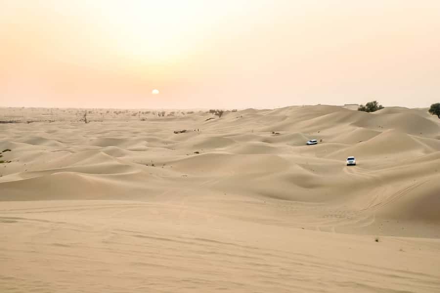 Doha: Safari, ATV, Camels, Sandboarding and Inland Sea Tour - Khor al Adaid, where Qatar meets the sea