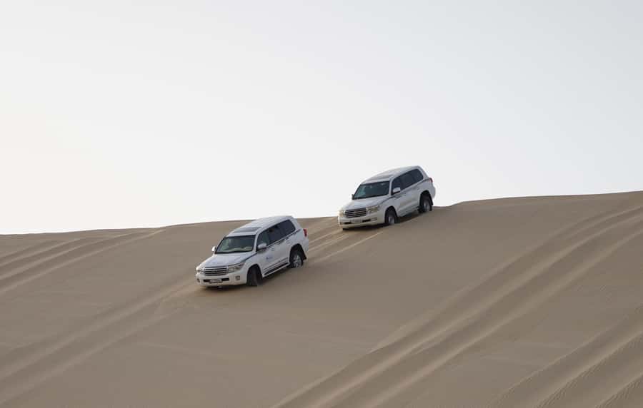 Doha: Safari, ATV, Camels, Sandboarding and Inland Sea Tour - Who should book it, and who should skip it