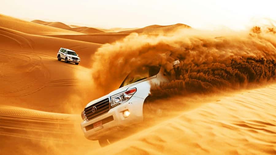 Doha: Safari, Camel Ride, Sandboarding and Inland Sea Tour - Camel photos at Sealine