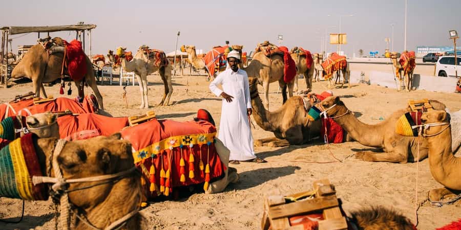 Doha: Safari, Camel Ride, Sandboarding and Inland Sea Tour - What the $15 price really gives you