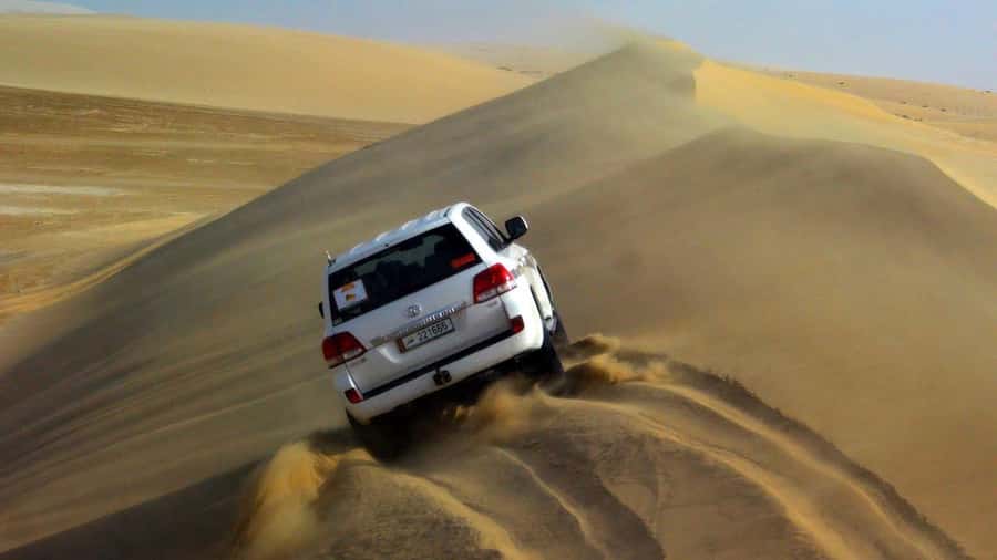Doha: Safari, Camel Ride, Sandboarding and Inland Sea Tour - Who will enjoy this desert tour most