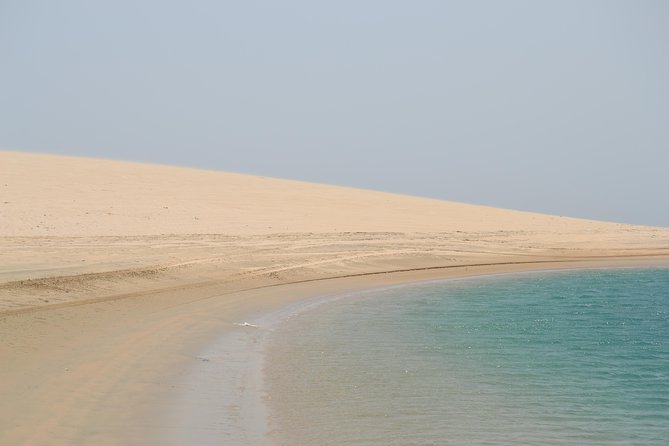 Doha: Safari, Dune bashing, Camel Ride, Sandboarding & Inland Sea - What the $65.70 price really covers