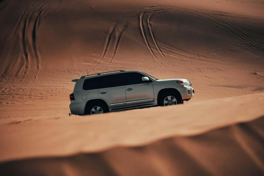 Doha:Safari Tour with Lunch/Dinner in Desert by the Sea Side - Leaving Doha for Qatar’s open desert