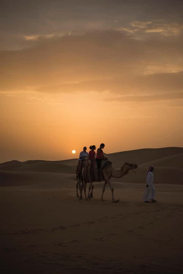 Doha: Shared Desert Safari, Sandboarding, Camel Ride - Timing, heat, and what to bring