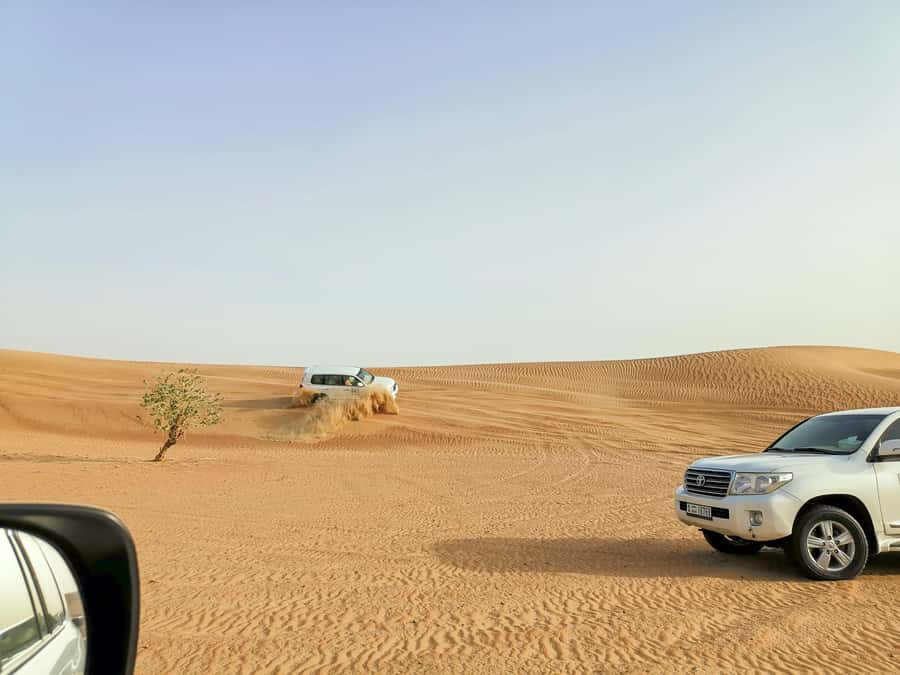 Doha: Shared Desert Safari, Sandboarding, Camel Ride - Meeting up at Sealine Al Reem